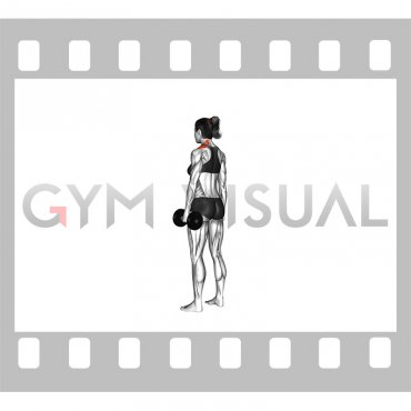 Dumbbell Single Arm Shrug (female)