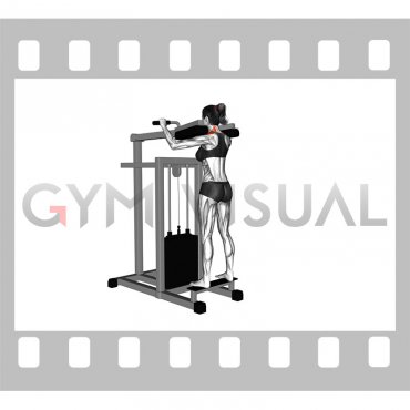 Lever Gripless Shrug (female)