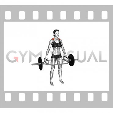 Trap Bar Standing Shrug (female)