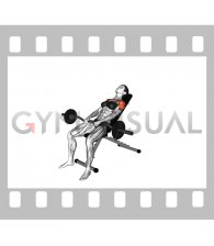 EZ-bar Incline Pronated Grip Front Raise (female)