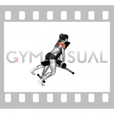 Dumbbell Incline Alternate Neutral Grip Reverse Fly (female)
