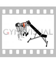 Dumbbell Rear Lateral Raise (support head) (female)