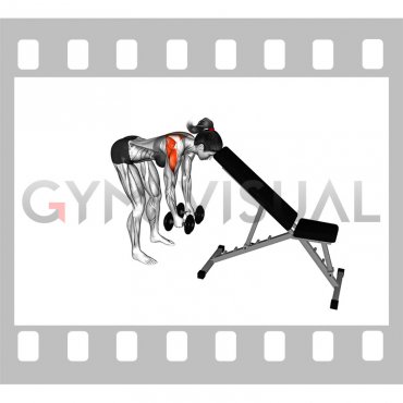 Dumbbell Rear Lateral Raise (support head) (female)