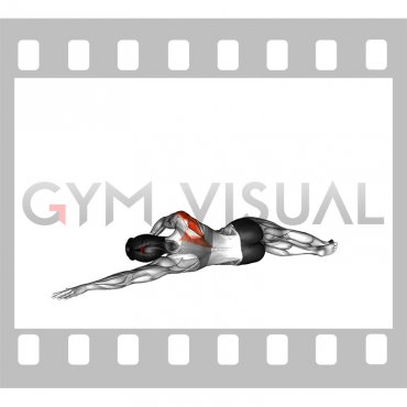 Dumbbell Lying on Floor Rear Delt Raise (female)