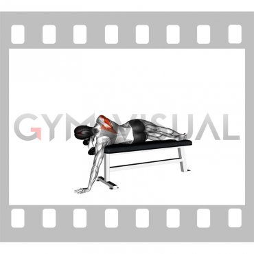 Dumbbell Lying One Arm Deltoid Rear (female)