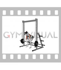 Smith Bent Over Pronated Grip Row (female)