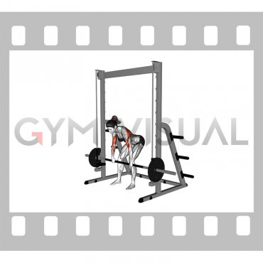 Smith Bent Over Pronated Grip Row (female)