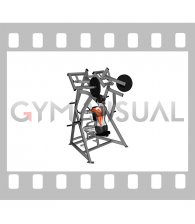 Lever One Arm Low Row (plate loaded) (female)