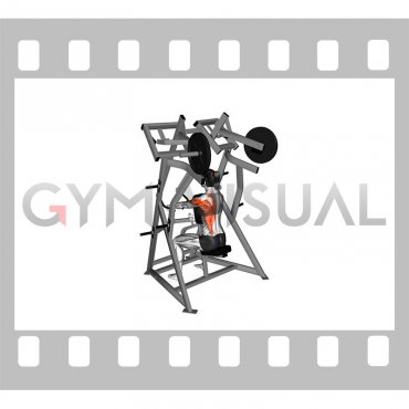 Lever One Arm Low Row (plate loaded) (female)