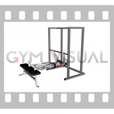 Inverted Row on Bench (female)