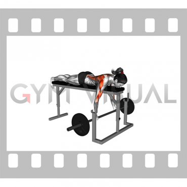 Barbell Lying Close Grip Underhand Row on Rack (female)
