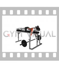 Barbell Lying Seal Row on Rack (female)