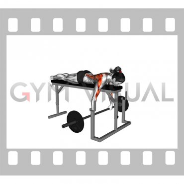 Barbell Lying Seal Row on Rack (female)