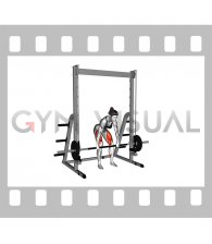 Smith Rack Pull (female)