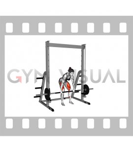 Smith Rack Pull (female)