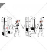 Cable Standing Neutral Grip Overhead Triceps Extension (female)