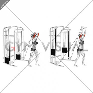 Cable Standing Neutral Grip Overhead Triceps Extension (female)