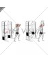 Cable Standing Neutral Grip Overhead Triceps Extension (male)