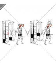 Cable Standing Neutral Grip Overhead Triceps Extension (male)