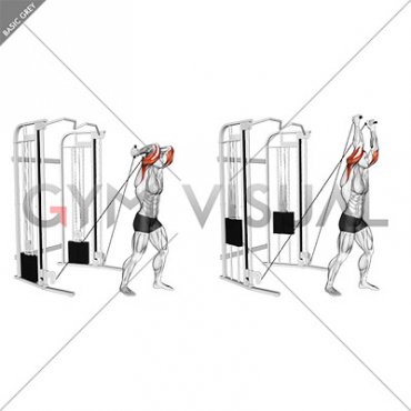 Cable Standing Neutral Grip Overhead Triceps Extension (male)