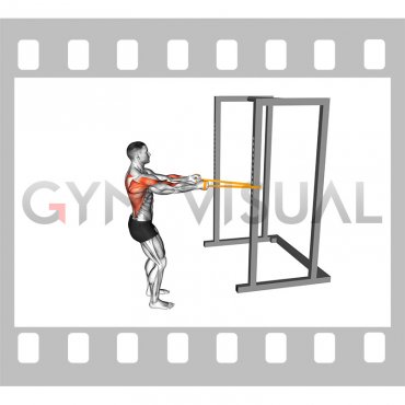 Resistance Band Standing Row (male)