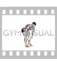 Resistance Band Bent Over Reverse Fly (male)