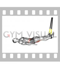 Suspender Leg Curl (male)
