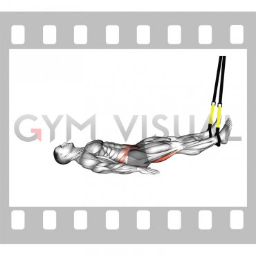 Suspender Leg Curl (male)