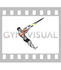 Suspender Face Pull (male)