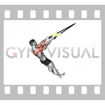 Suspender Face Pull (male)