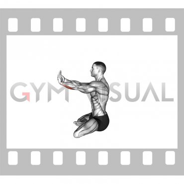 Seated Wrist Flexors Stretch (male)
