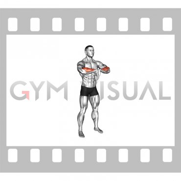 Wrist Extensor Stretch (male)