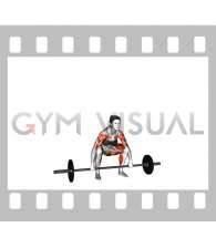 Snatch Pull (female)