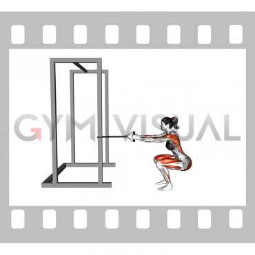 Band Squat Row (female)