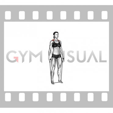 Band Shrug (female)