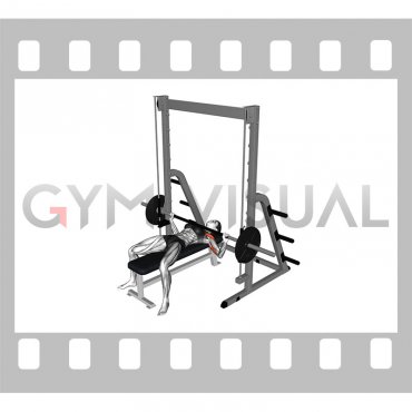 Smith Wide Grip Bench Press (female)