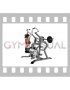 Lever Lateral Pulldown (plate loaded) (female)