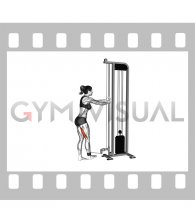 Cable Standing Leg Curl (female)