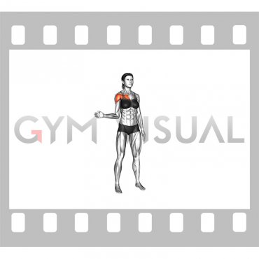 Shoulder Medial Rotation (Internal Rotation) (female)