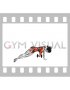 Dumbbell Side Plank with Rear Fly (female)