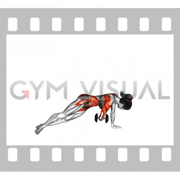 Dumbbell Side Plank with Rear Fly (female)