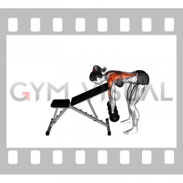 Dumbbell Chest Supported Row (female)
