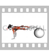 Exercise Ball Pike Pushup (female)