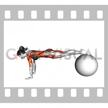 Exercise Ball Pike Pushup (female)