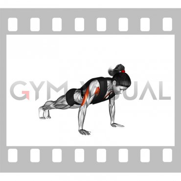Weighted Push up with Vest (female)