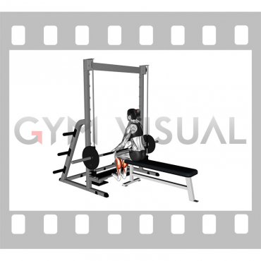 Smith Seated Calf Raise (female)
