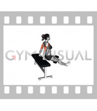 Dumbbell Bench Dip (female)