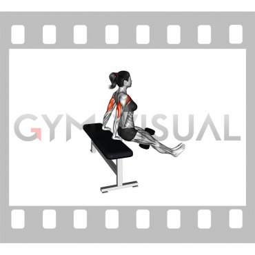 Dumbbell Bench Dip (female)