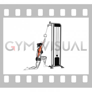 Cable Kneeling One Arm Lat Pulldown (female)