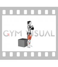 Kettlebell Box Squat (female)